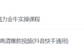 快手短视频带货剪辑磁力金牛