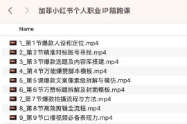 加菲小红书个人职业IP陪跑课