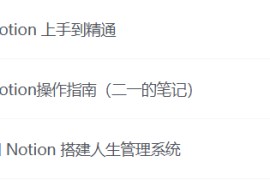 Notion入手到精通搭建人生管理系统+操作指南