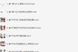 小红书电商运营 0 基础入门到精通