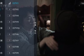 DIYP电视直播 v5.2.0 TV内置源版-1.29更新