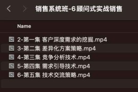 销售系统班-6顾问式实战销售