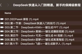 DeepSeek快速从入门到精通，新手的保姆级教程