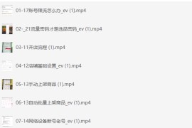 小红书电商陪跑正价课，日出百单选品，电商掘进课