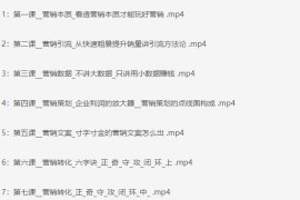 老 A 营销训练营轻理论 + 重实战