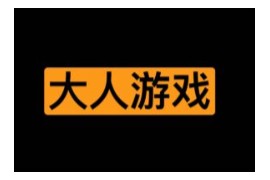 抖喵家的大人轮盘游戏库