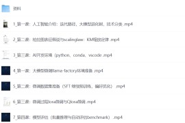 AI大模型应用开发​模型训练-RAG-Agent-AI项目实战-行业落地课