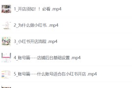 红薯电商实操课，小红书电商全流程