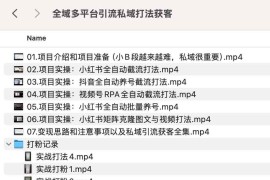 全域多平台引流私域打法获客