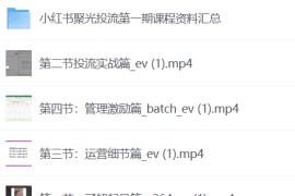 小红书聚光陪跑第一期，教你从0到1玩转小红书聚光投流，搭建小红书付费投流团队，更快的见到效果