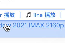 115Master：让115网盘秒变看片神器，超快的加载速度、智能字幕、一键增强体验