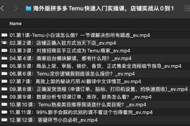 海外版拼多多Temu快速入门实操课，店铺实战从0到1