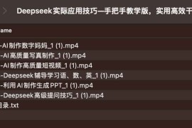 Deepseek实际应用技巧—手把手教学版，实用高效干货