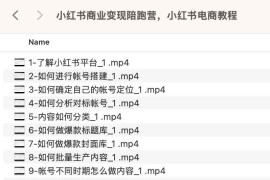 小红书商业变现陪跑营，小红书电商教程