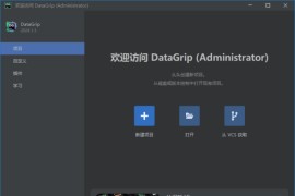 JetBrains DataGrip(数据库集成开发环境) 2025.1 直装激活版
