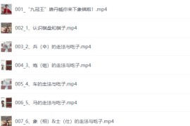 少年得到《0基础少年象棋课》