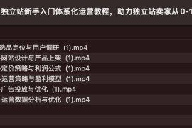 独立站新手入门体系化运营教程，助力独立站卖家从0-1快速入门