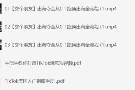 2025出海夺金从0-1跑通出海全流程，三节直播课从0-1跑通出海，教你用AI跑通全流程
