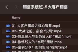 销售系统班-5大客户销售