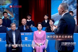 这就是VV：张维为语录精准查询工具 《这就是中国》表情包一键生成