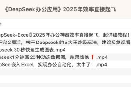 《DeepSeek办公应用》2025年效率直接起飞