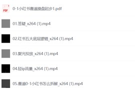 小红书获客掘金运营玩法线下课