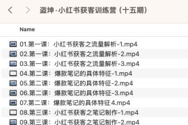 盗坤·小红书获客训练营（十五期）