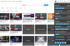 Bilibili视频屏蔽去广告助手 按标签与UP主定制过滤脚本：Bilibili Blocked Videos By Tags