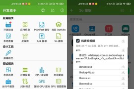 开发助手 v8.8.0 安卓绿化版