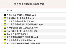21天从0-1学习电商必备逻辑