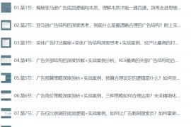 聪明的跨境人都在学的亚马逊广告高阶课，每天10分钟，手把手教你成为广告实战高手