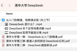 清华大学 普通人如何抓住DeepSeek红利