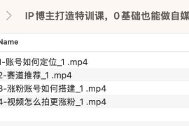 IP博主打造特训课，0基础也能做自媒体