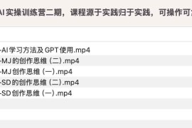 AI实操训练营二期，课程源于实践归于实践，可操作可复制可落地
