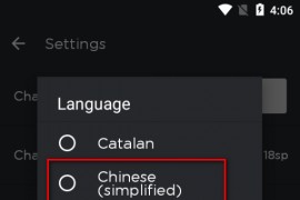 TPlayer v7.4b 安卓绿化版