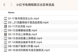 小红书电商陪跑日出百单选品