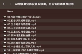 AI短视频矩阵获客实操课，企业低成本精准获客