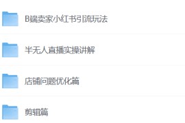 小红书实战落地运营方法，系统训练，抓住搞钱方向，跟有结果的人学习