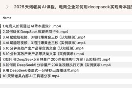 天诺老吴AI课程，电商企业如何用deeepseek实现降本提效