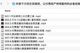 抖音千川优化实操班，让付费投产持续盈利的必备技能