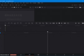 Blackmagic DaVinci Resolve Studio v19.1.4.11 中文破解版