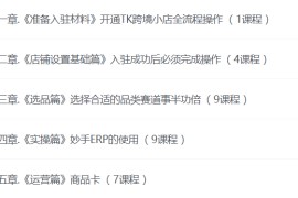 TikTok跨境小店运营全攻略，帮助你独立运营TK跨境小店的能力，实现销量增长